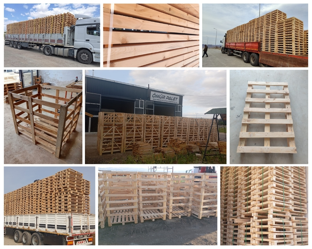 Schaesberg Houten Kisten, Europallets Groothandel Kopen